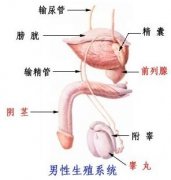 <b>膀胱炎有什么症状</b>