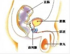 西宁前列腺增生的具体病症有哪些